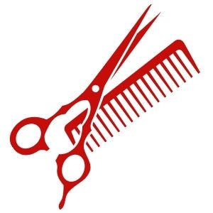 Hair Stylist Services In Royal Palm Beach