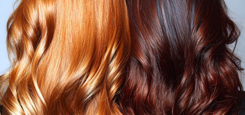 Side-by-side comparison of auburn hair color and a darker brown shade to show tone differences.